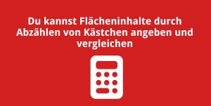 Du kannst Flächeninhalte durch Abzählen von Kästchen angeben und vergleichen
