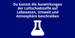 Du kannst die Auswirkungen der Luftschadstoffe auf Lebewesen, Umwelt und Atmosphäre beschreiben